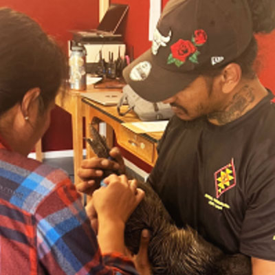 Sanctuary Mountain Maungatautari Sanctuary Mountain Maungatautari